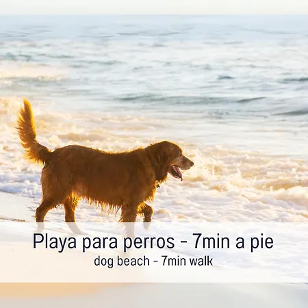 Holiday home Gran Azul - Workation - Hunde Willkommen