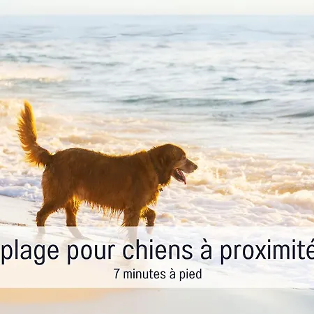 Gran Azul - Workation - Hunde Willkommen *