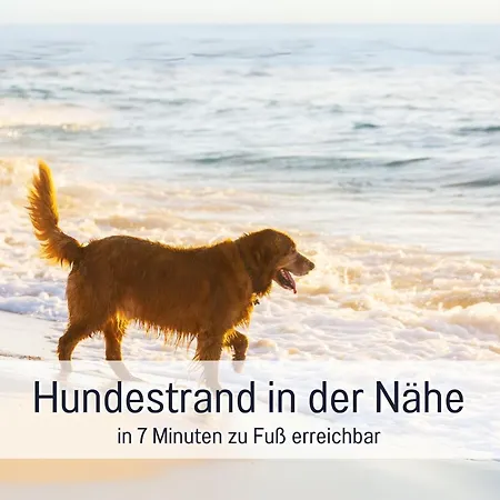 Gran Azul - Workation - Hunde Willkommen * L'Escala